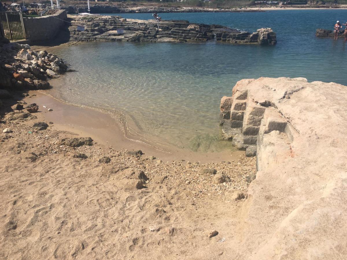 Almarea Blu - Appartamento In Villa Vicino Al Mare - Affitto Breve 滨海波利尼亚诺 外观 照片